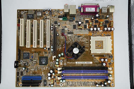 丽台非官方收藏网